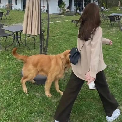 私人之路